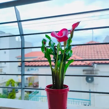 Apartmán Side Sea View Néoi Epivátai