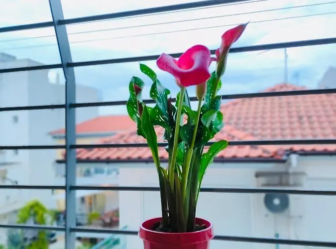 Apartment Side Sea View Neo Epivates